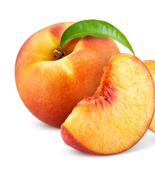 1 petite pĂªche 1 petite pĂªche