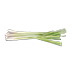 326323
