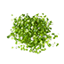 326020
